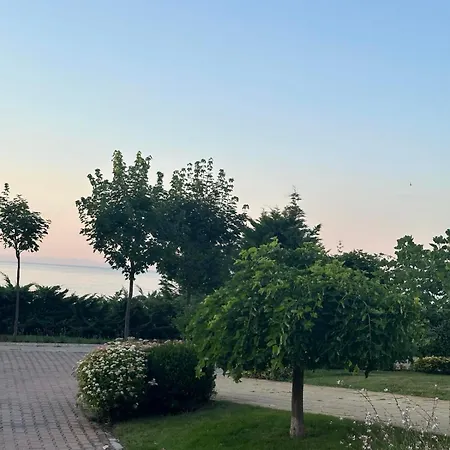 Complex Gallery Saint Thomas