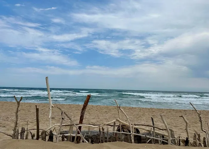 Complex Gallery Saint Thomas Appartement *